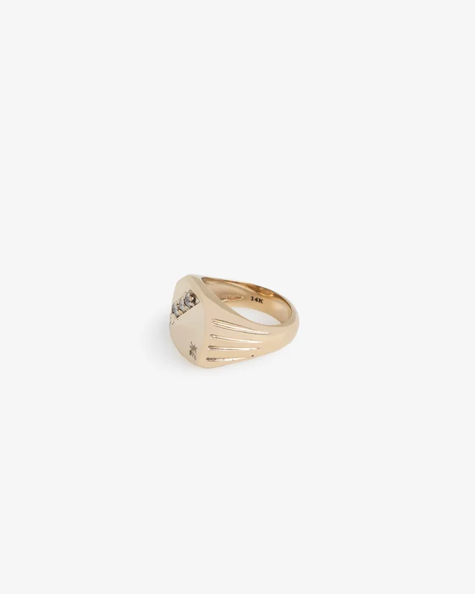 Bague chevalière en or 14 carats sertie de diamants