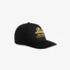 Chapeau Unisphere