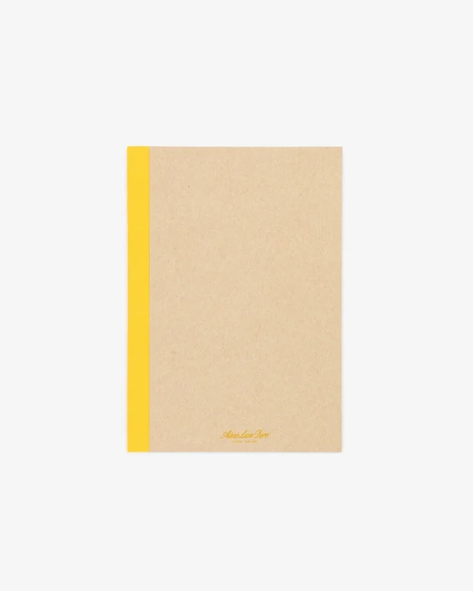Lot de 3 carnets